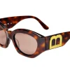 Brandon Blackwood Sunglasses>The Soza Sunglasses Tortoise